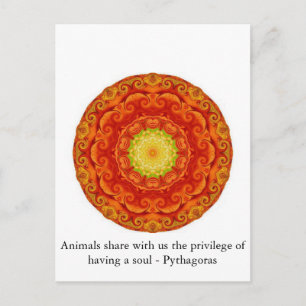 Animals share with us the privilege of having..... postcard