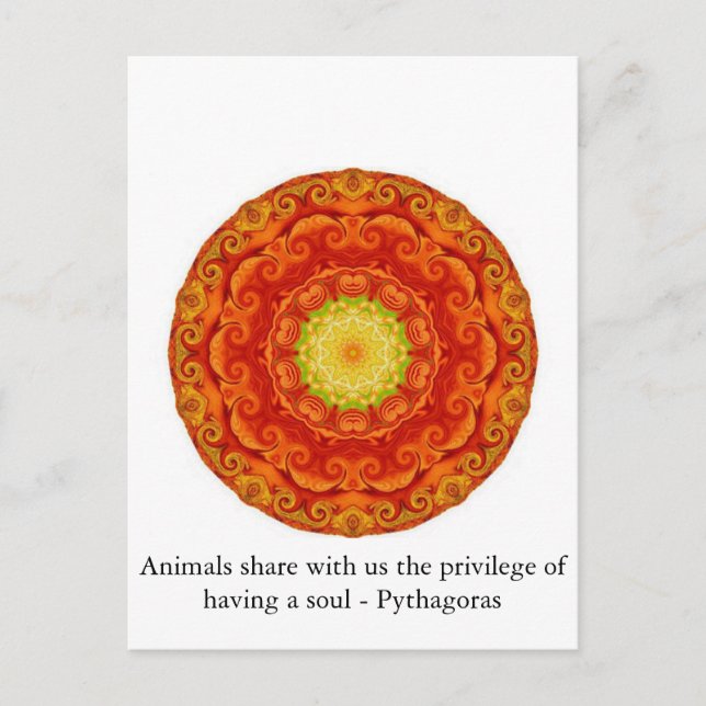 Animals share with us the privilege of having..... postcard (Front)