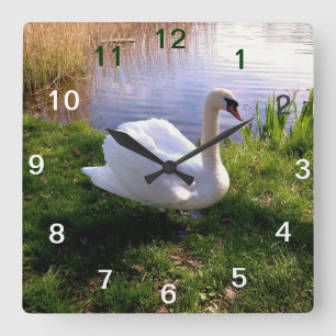 Animals Square Wall Clock