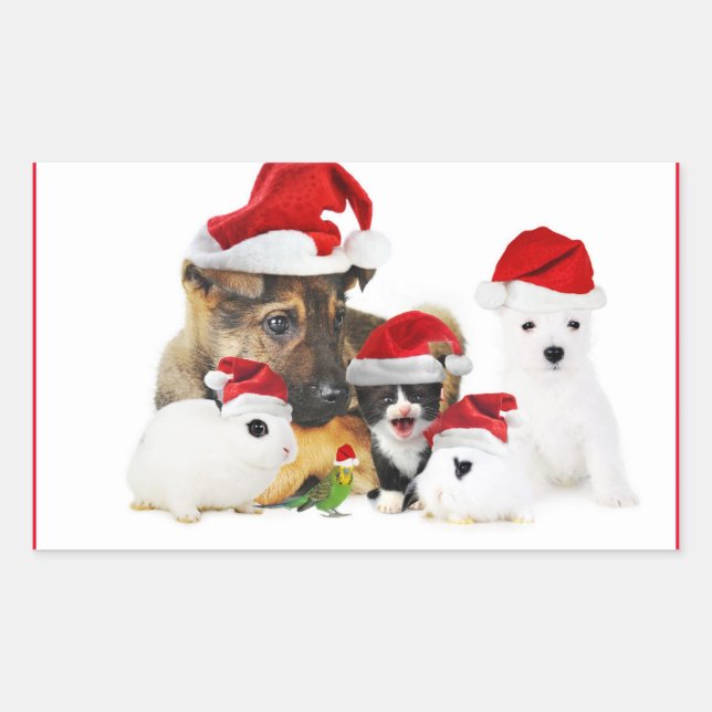 Animals Sticker (Front)