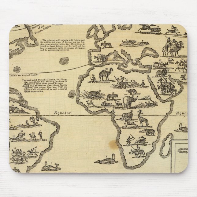 Animals World Mouse Pad (Front)