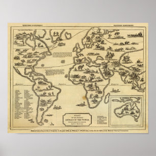 Animals World Poster