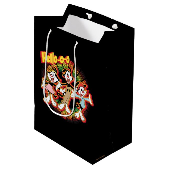 Animaniacs | Hello-o-o Retro Equalizer Graphic Medium Gift Bag (Front Angled)