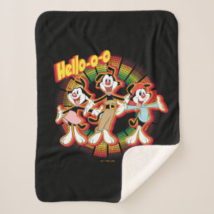 Animaniacs   Hello-o-o Retro Equalizer Graphic Sherpa Blanket