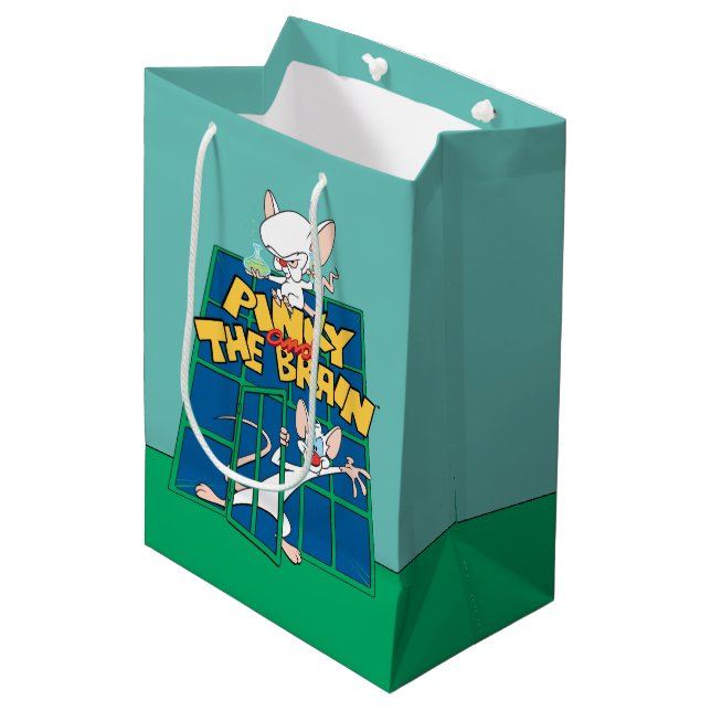 Animaniacs | Pinky and The Brain Cage Graphic Medium Gift Bag (Front Angled)