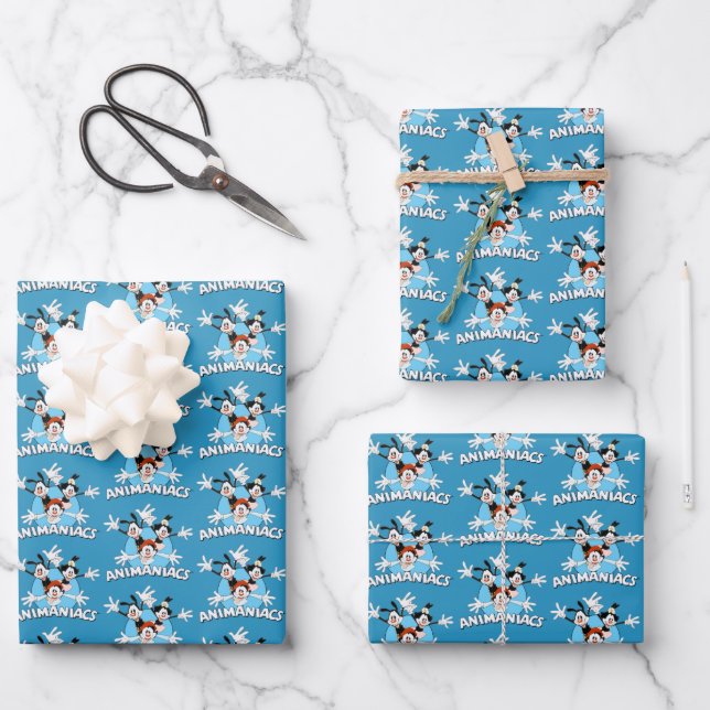Animaniacs | Warner Siblings Arms Wide Graphic Wrapping Paper Sheet (Front)
