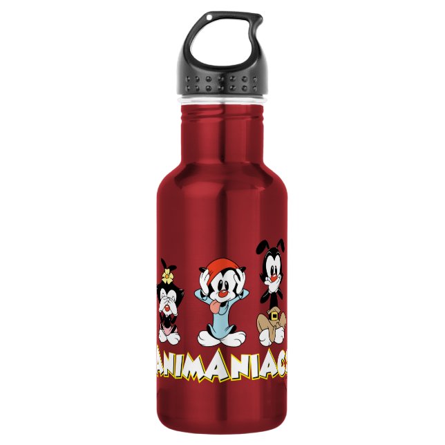Animaniacs | Warner Siblings "No Evil" Graphic 532 Ml Water Bottle (Front)