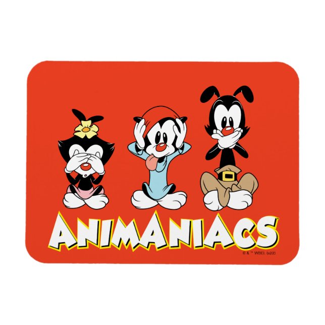 Animaniacs | Warner Siblings "No Evil" Graphic Magnet (Horizontal)