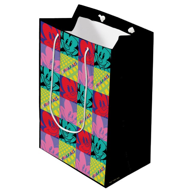 Animaniacs | Warner Siblings Pop Art Graphic Medium Gift Bag (Front Angled)