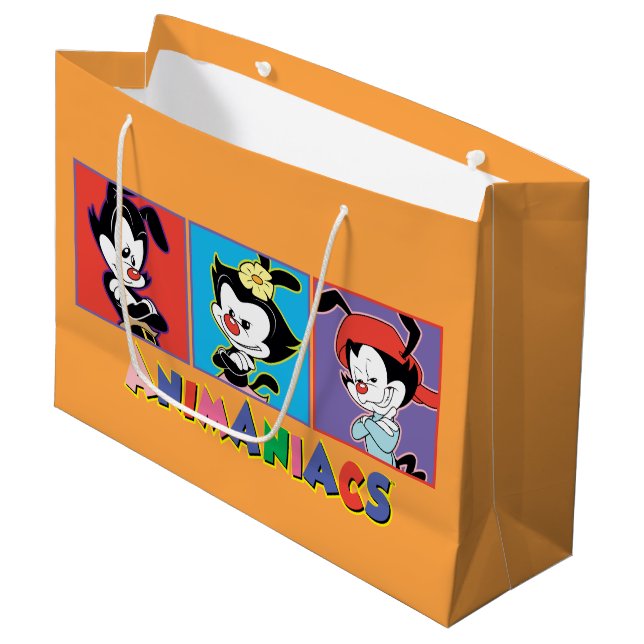 Animaniacs | Yakko, Dot, & Wakko Panel Graphic Large Gift Bag (Front Angled)