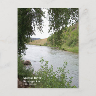 Animas River Postcard