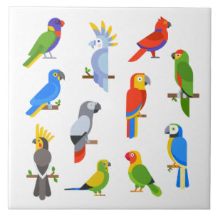 Animated Parrots Background Tile