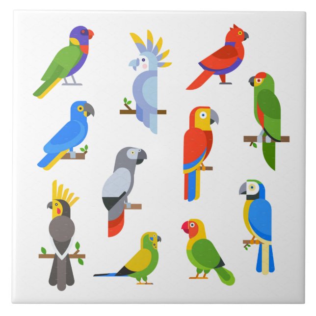 Animated Parrots Background Tile (Front)