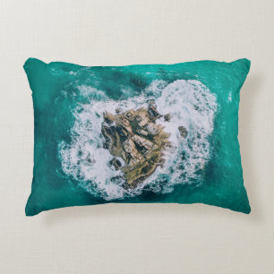 Animation character accent pillow