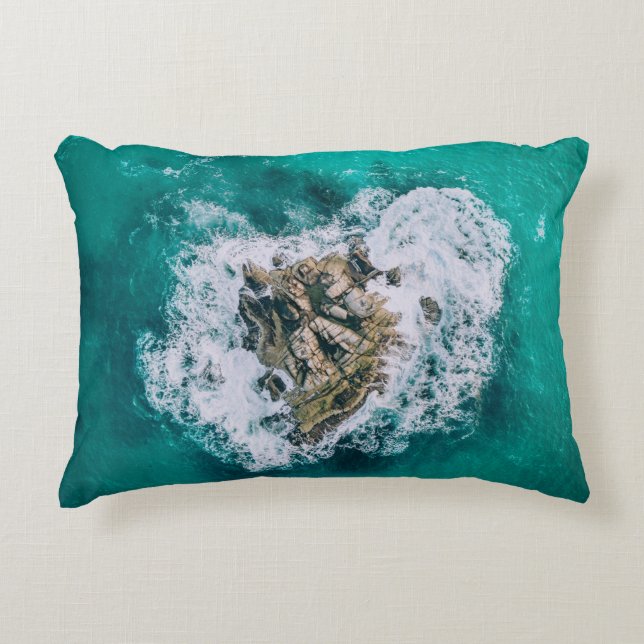 Animation character accent pillow (Front)