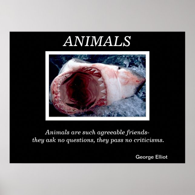 Animaux Affiches 28 (Devant)