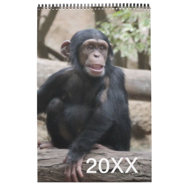 Animaux Calendrier 20XX (Protection)