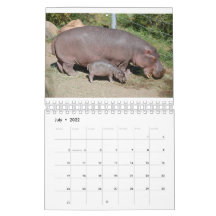 Animaux dans le monde Calendrier 2021 de 5,5 po x