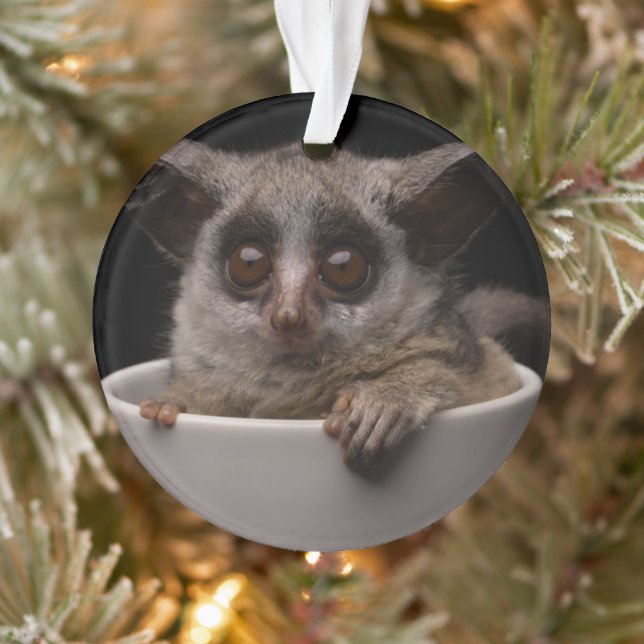 Animaux de bébés cutest | Bébé mignon (Arbre)
