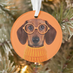 Animaux de bébés cutest   Chandail orange Dachshun