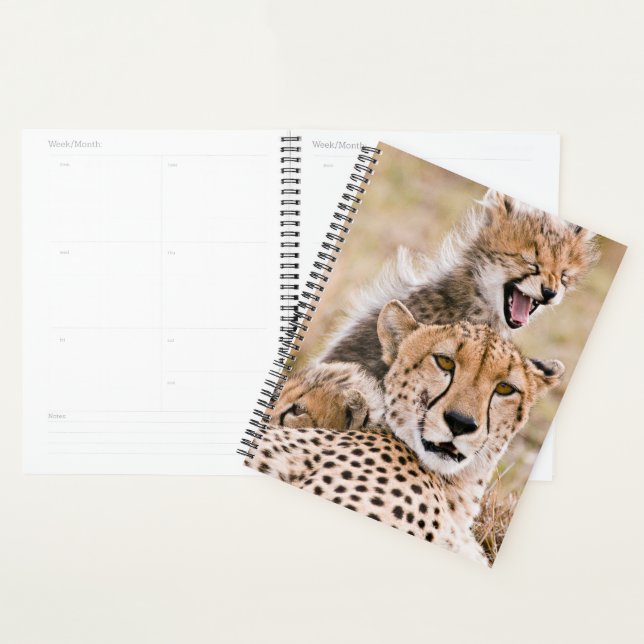 Animaux de bébés cutest | Cheetah Cat & Cub (Devant avec enveloppe)