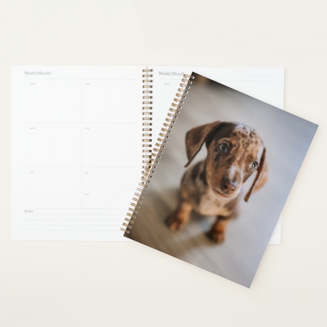 Animaux de bébés cutest | Chiot Brown (Devant avec enveloppe)