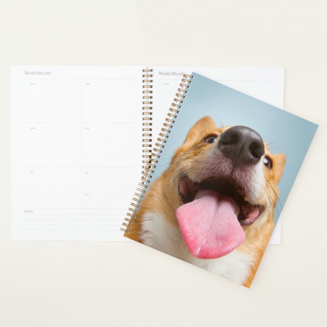 Animaux de bébés cutest | Langue de Corgi (Devant avec enveloppe)