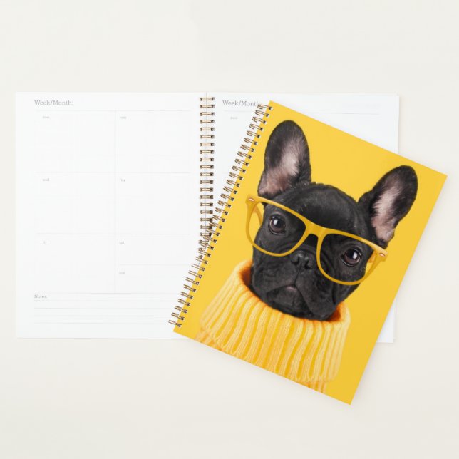 Animaux de bébés cutest | Lunettes de soleil pour  (Devant avec enveloppe)