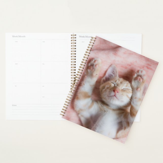 Animaux de bébés cutest | Minuscule chaton rayé or (Devant avec enveloppe)