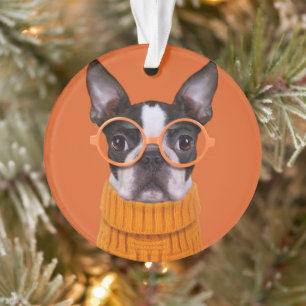 Animaux de bébés cutest   Orange Boston Terrier