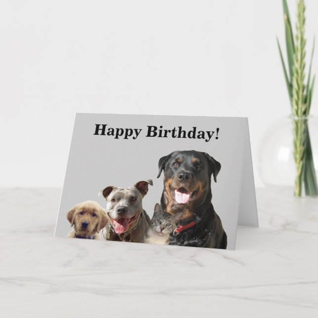 Animaux de compagnie adorables de la carte d'anniv (Devant)