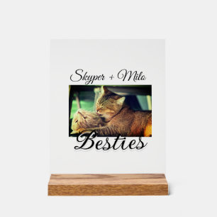 Animaux de compagnie amis besties ajouter nom anim