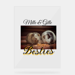 Animaux de compagnie amis besties ajouter nom anim