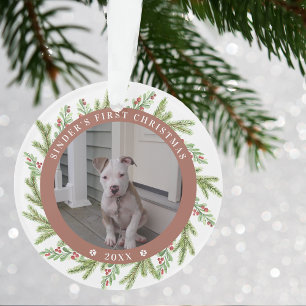 Animaux de compagnie Chien chiot Premier Noël 2 Ph