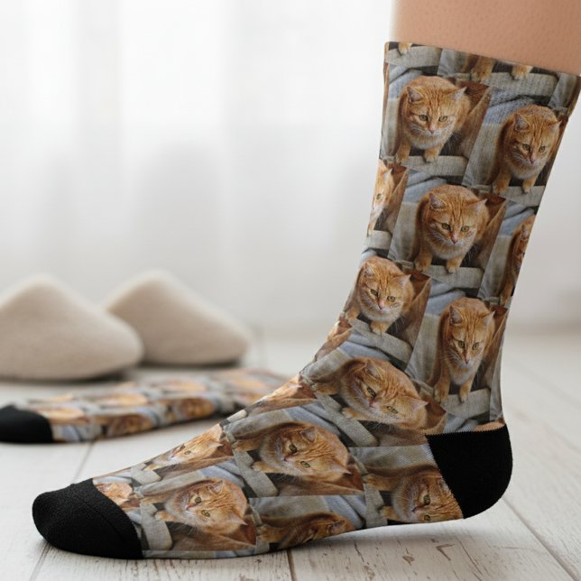 Animaux de compagnie Photo Customisée Fun Chien Ch (Créateur téléchargé)
