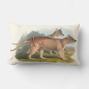 Animaux De Coussins D'Australie