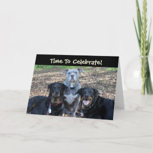 Animaux de fête d'anniversaire Carte d'anniversair