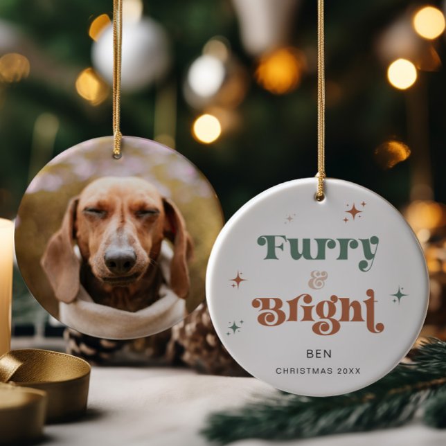 Animaux de Noël Ornement Photo Chien Furry & Brigh (Créateur téléchargé)