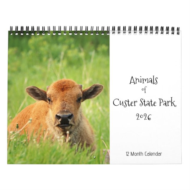 Animaux du parc d'état de Custer 2026 Calendrier (Protection)