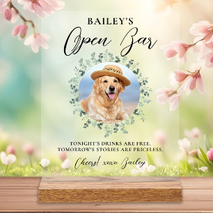 Animaux Mariages Chien Open Bar Cocktails Boissons