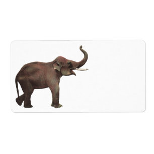 Animaux sauvages vintages, éléphants asiatiques de