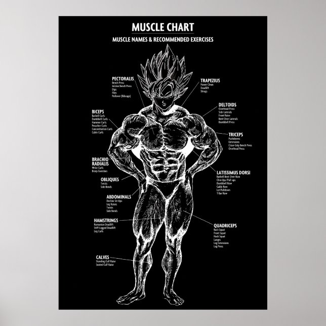 Anime Anatomy Diagram, Muscle Chart - Motivational (Front)