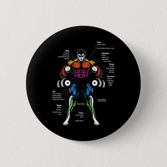 Anime Anatomy Muscle Chart  2 Inch Round Button (Front)