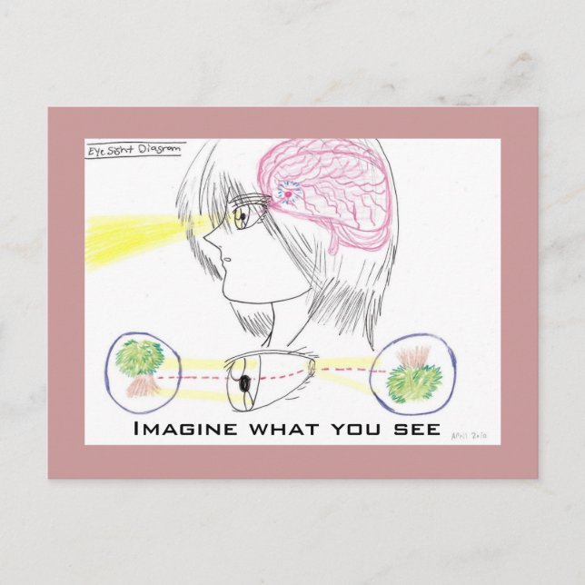 Anime Style Basic Eye-Sight Diagram Postcard (Front)