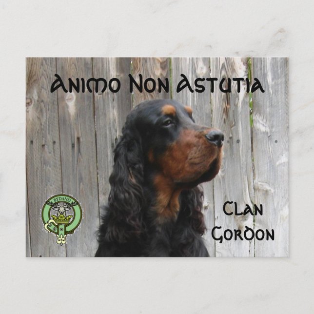 Animo Non Astutia, Gordon Setter Postcard (Front)