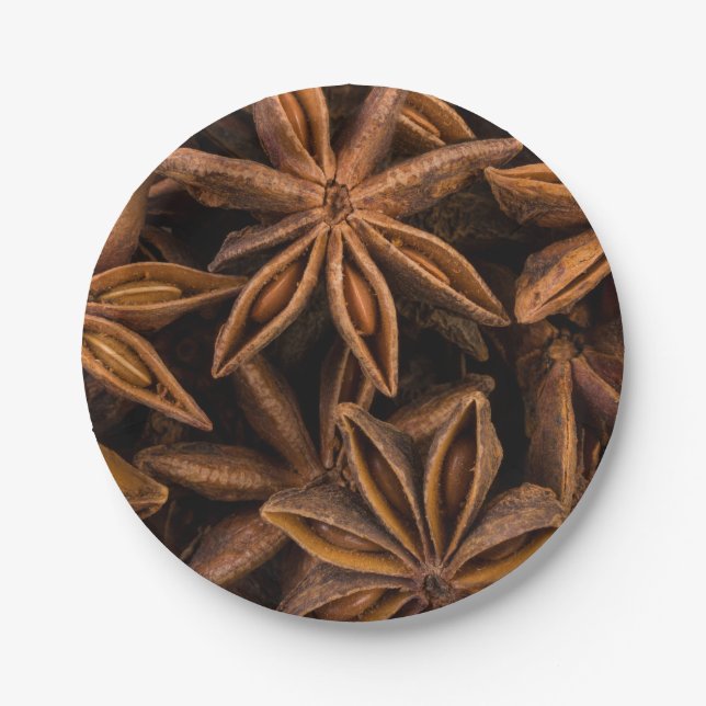 Anise Stars Pattern Paper Plate (Front)