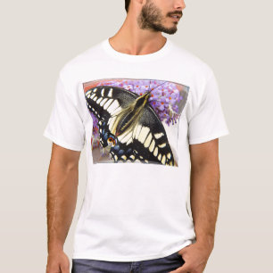 Anise swallowtail butterfly - Men's t-shirt