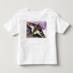 Anise swallowtail butterfly t-shirt