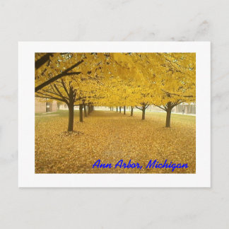 Ann Arbor in Fall Postcard