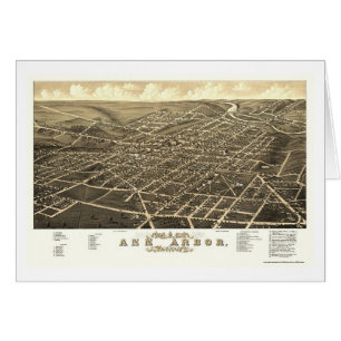 Ann Arbor, MI Panoramic Map - 1880
